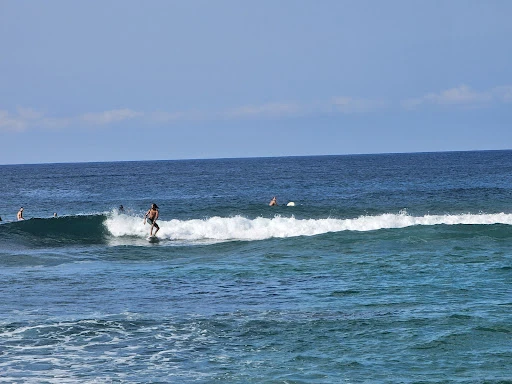 Sonido del Mar Restaurant photo